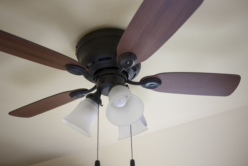 Ceiling Fan Service